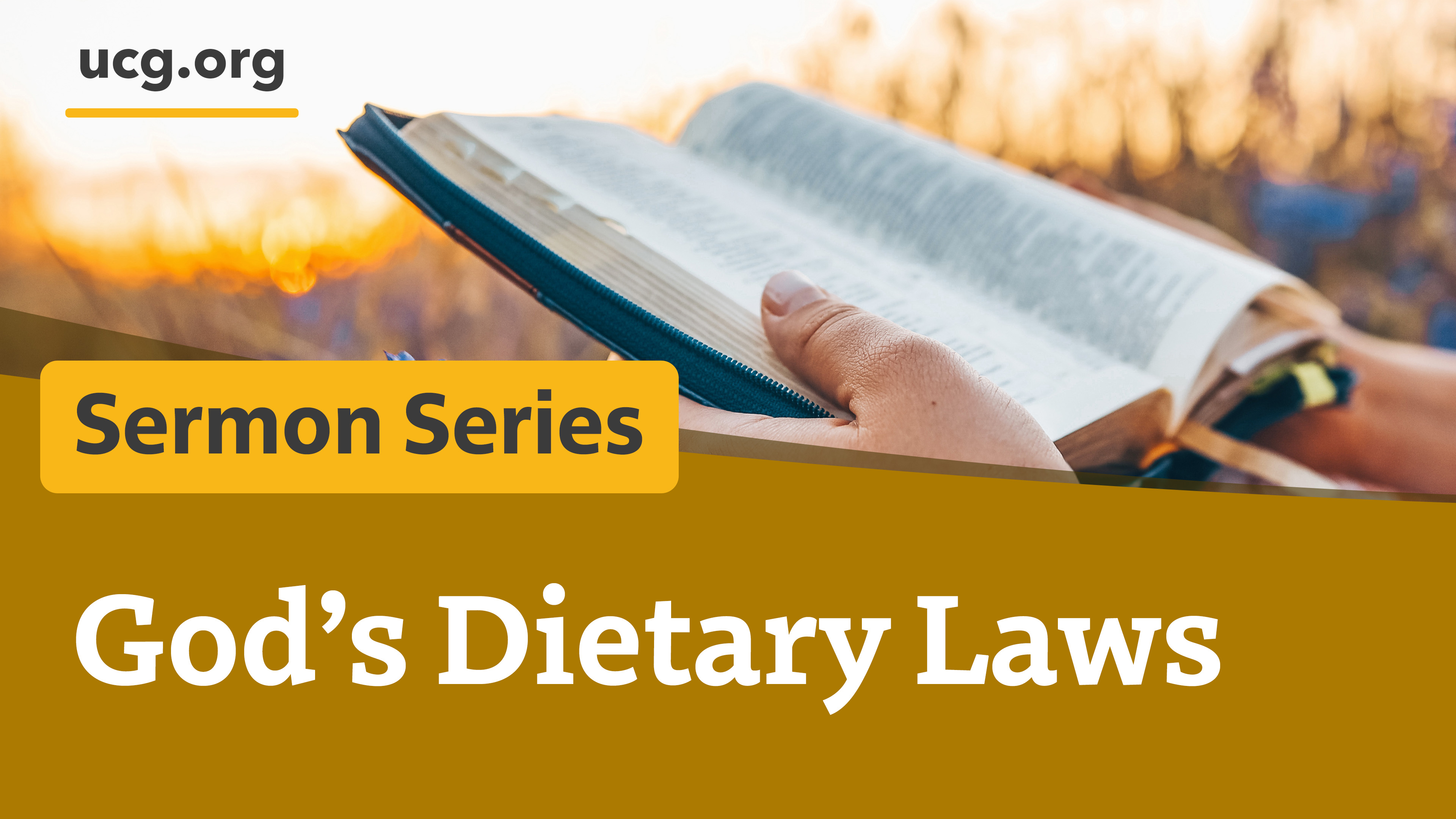 God's dietary laws series