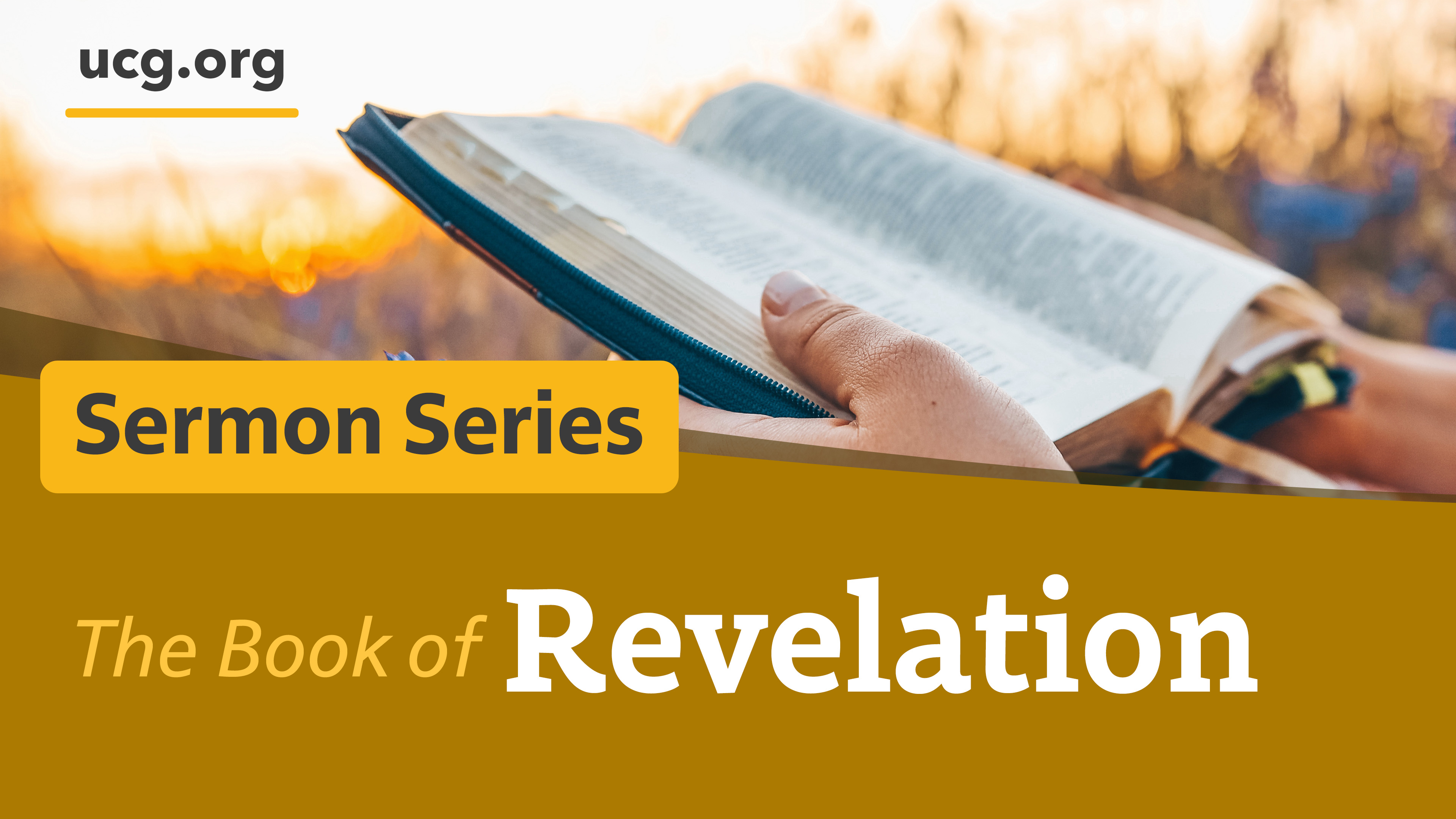 The Book of Revelation series