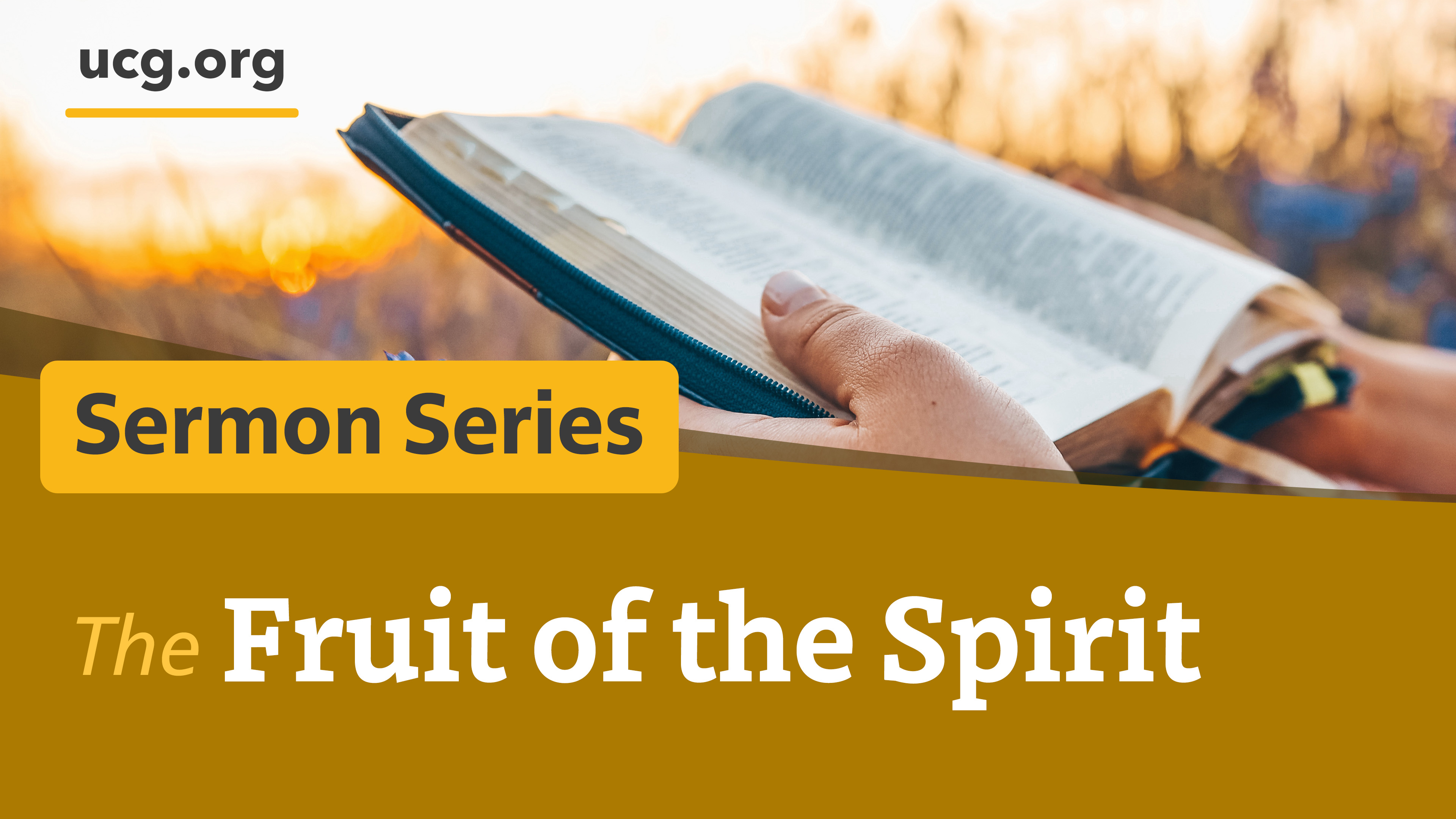 The Fruit of the Spirit series