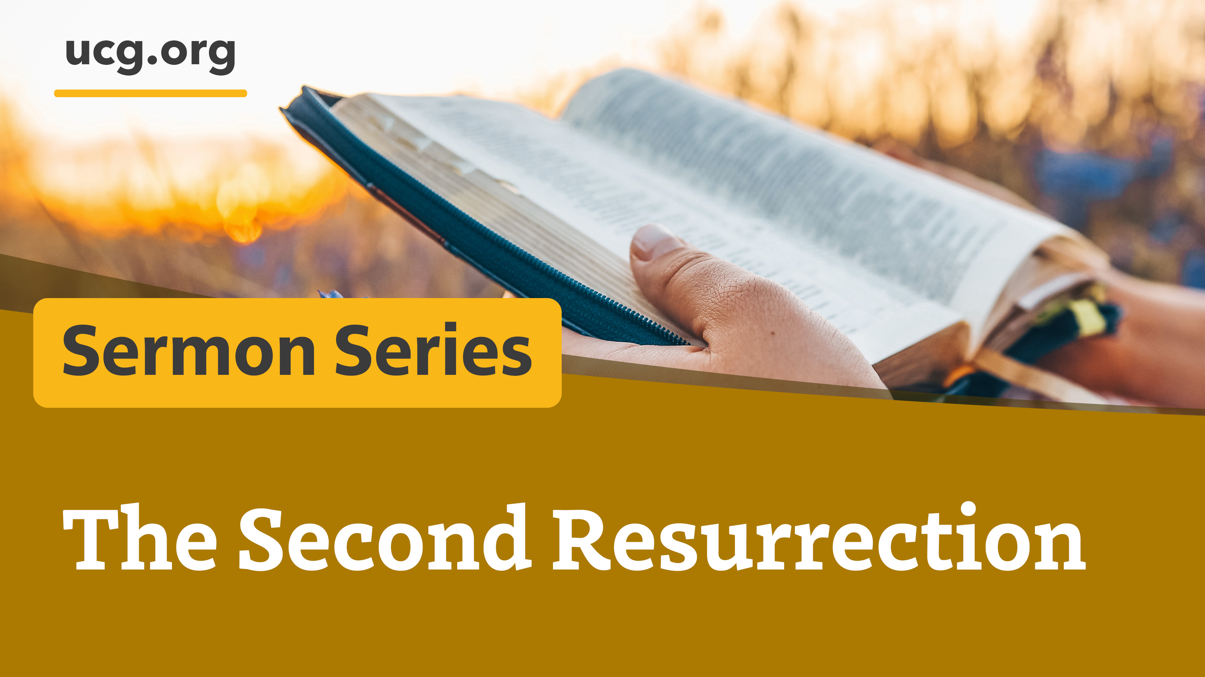 The Second Resurrection series