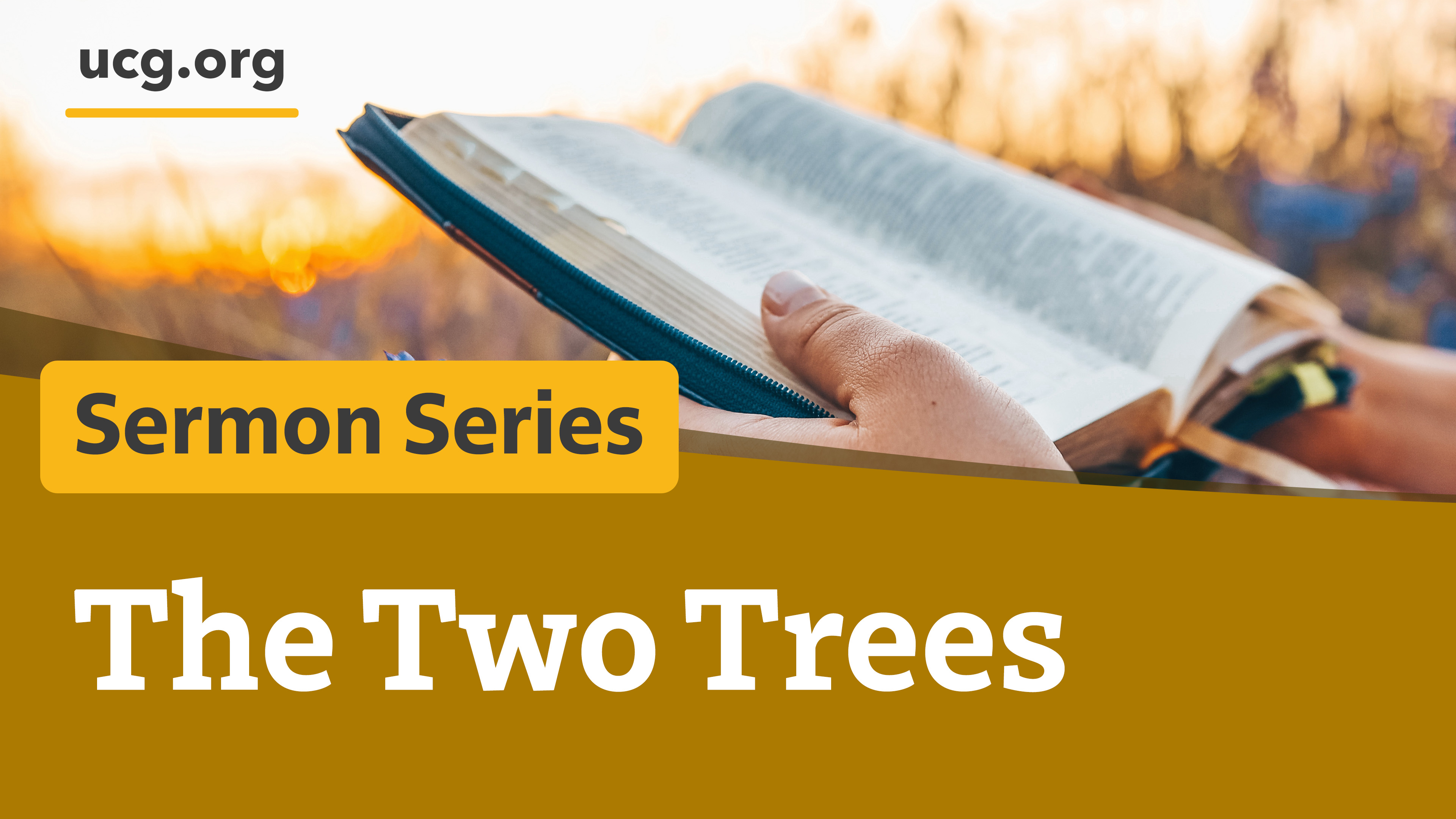 The Two Trees series