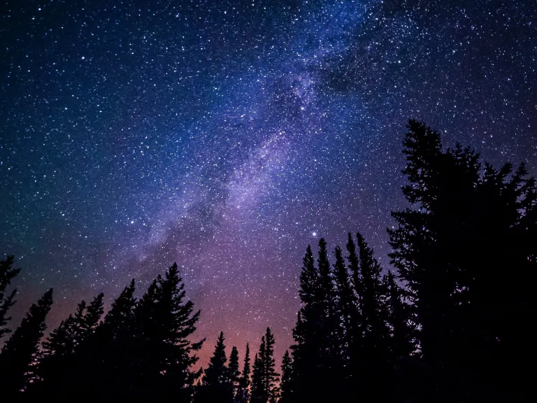 Um céu noturno cheio de estrelas.