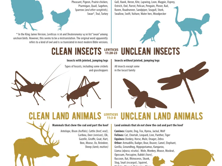 Infographic Clean vs. Unclean Meats