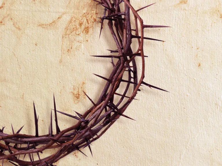 Crown of thorns.