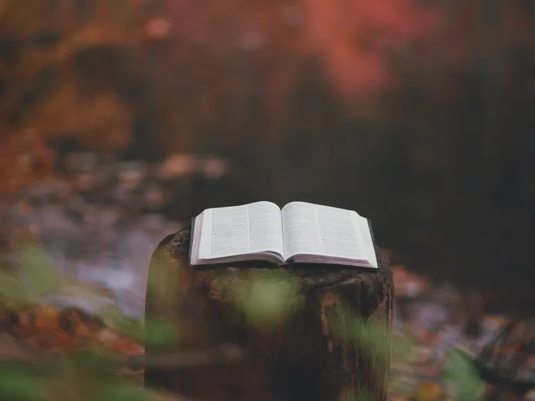 Une Bible sur un rondin à côté d'un lac