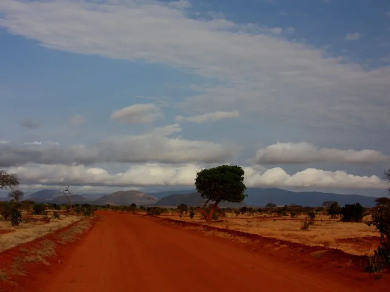 a landscape of Mombasa, Kenya with a red earth road, trees, shrubs and distant mountains