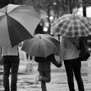 A family walking in the rain holding umbrellas. 